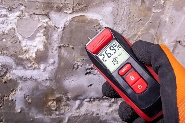 Best Bathroom Mold Remediation in Lordstown, OH